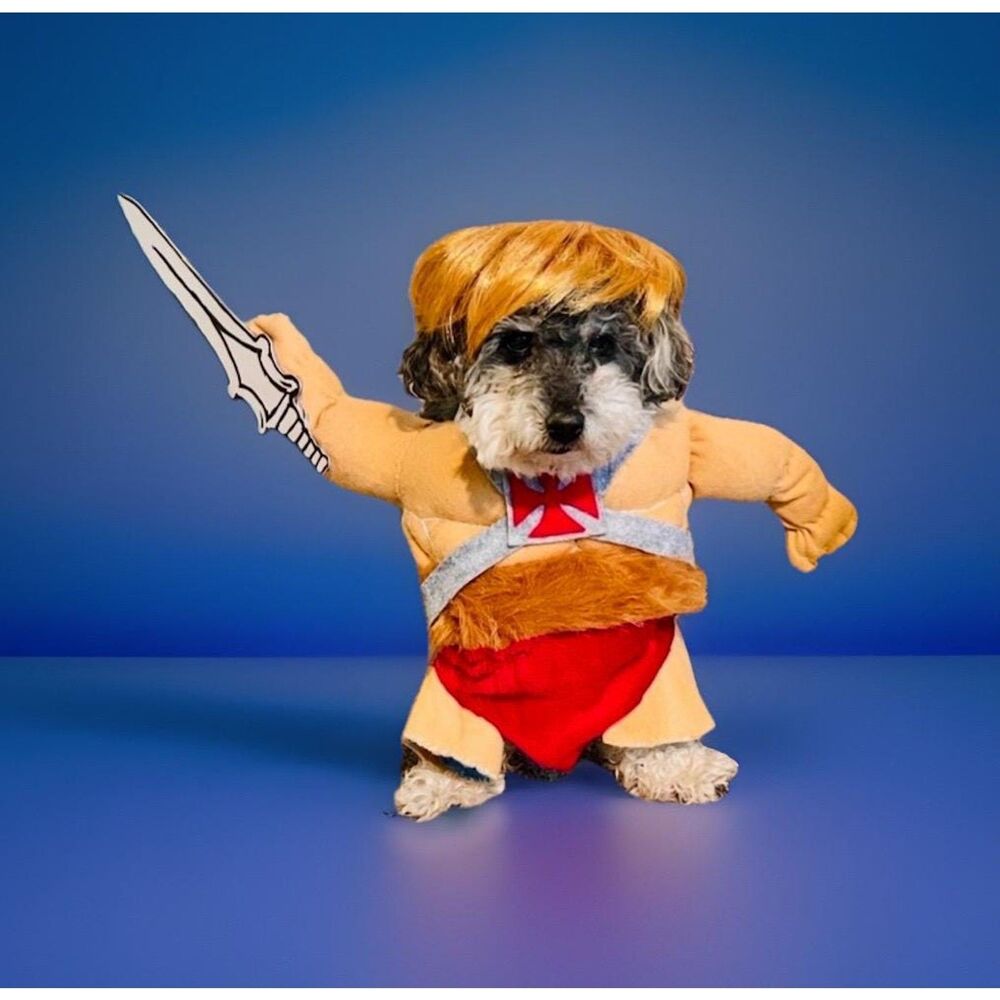 Handmade Dog/Pet Costume He-Man Masters of the Universe 80s size XS-S